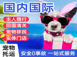 金湾机场快递国际宠物托运 【国